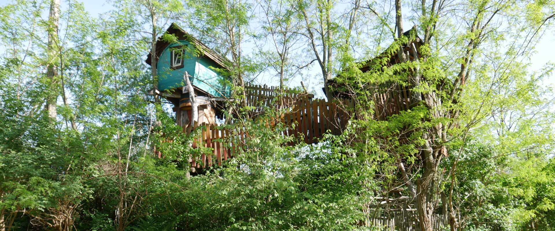 Ein Baumhaus und weitere fantasievolle Holzbauten umgeben von dichtem Grün im Baumhaushotel Kulturinsel Einsiedel.