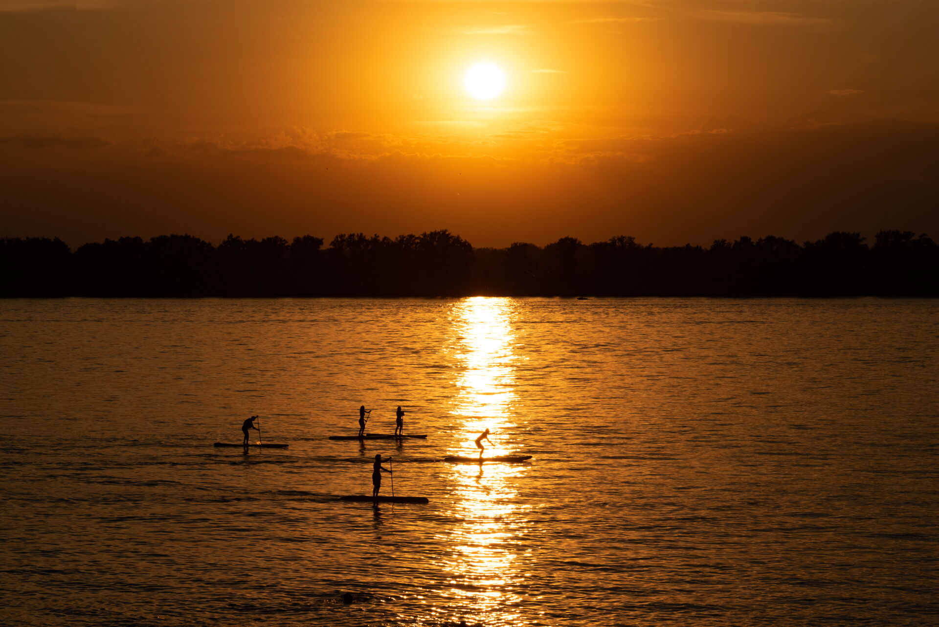 Die leuchtend orange Sonne steht tief am Himmel über einem Gewässer, dessen Oberfläche das Sonnenlicht als breiten, goldenen Streifen reflektiert.